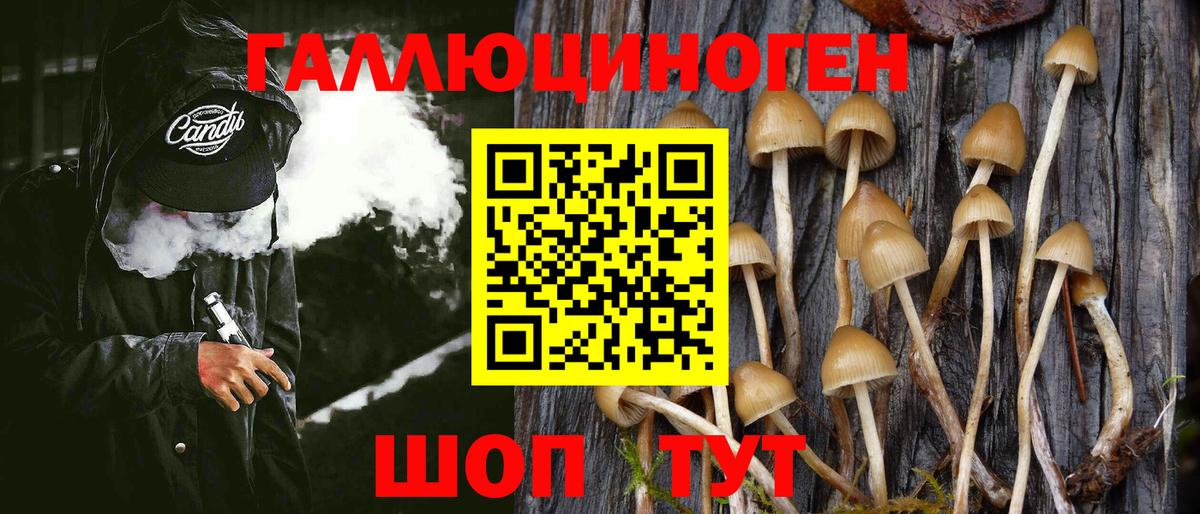 Самара  Псилоцибиновые грибы GOLDEN TEACHER  Псилоцибиновые грибы Magic Shrooms  Вход с VPN 